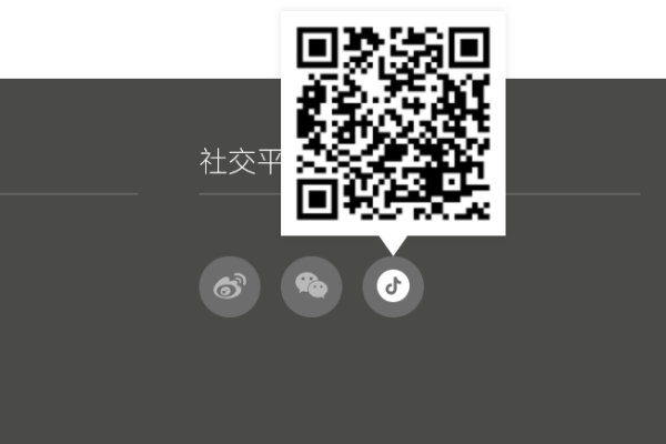 一个常见的社交链接icon效果带二维码